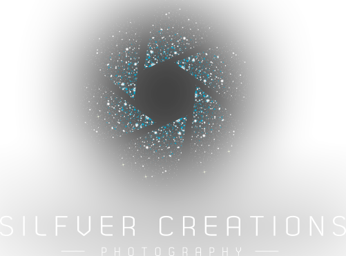 Silfver Creations Photography Silfver Creations Photography - Sydney (501x371), Png Download