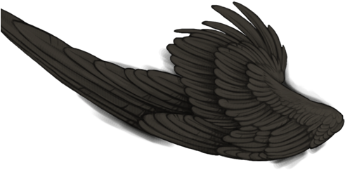 Vulture (640x500), Png Download