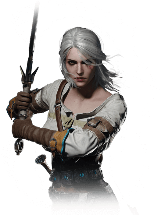 At One Point, Geralt Demanded The Unborn Child Of Princess - Notebook Journal : The Witcher: Pocket Notebook Journal (654x727), Png Download