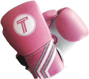 Title Punisher Training Gloves Pink 12oz - Glove (480x360), Png Download
