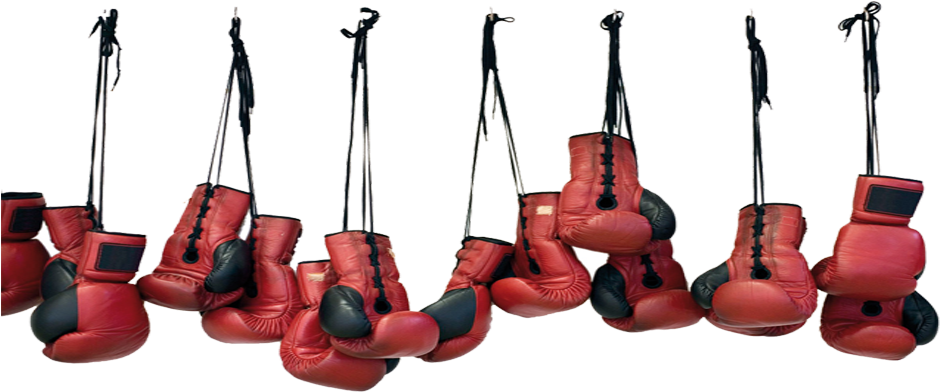 My Story - Boxing Gloves (1000x417), Png Download