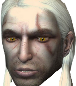 Lien Direct, 2017/22/1496583348 Sans Titre 1 - Geralt Of Rivia The Witcher 2007 (400x300), Png Download