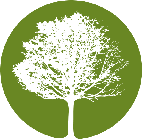 Tree Clipart Leaf Png - Film (477x468), Png Download