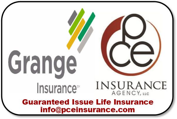 Guaranteed Issue Life Insurance For Grandville Jenison - Computer Science (605x458), Png Download