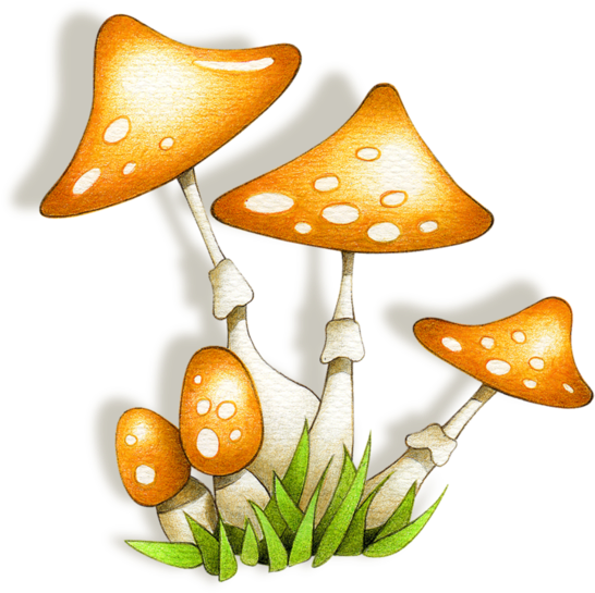 Buscar Con Google - Stuffed Mushrooms (600x605), Png Download