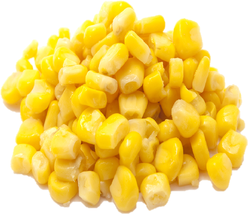 Download Semente De Milho Png Png Image With No Background Pngkey Com