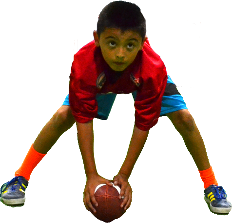 Use The Button Below For Full Program Details - Player (476x457), Png Download