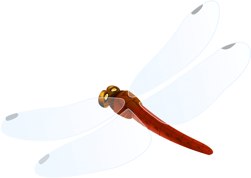 Free Png Red Dragonfly Png Images Transparent - Portable Network Graphics (850x602), Png Download