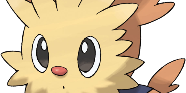 Wtf Asia - Pokemon Lillipup Evolution (845x321), Png Download