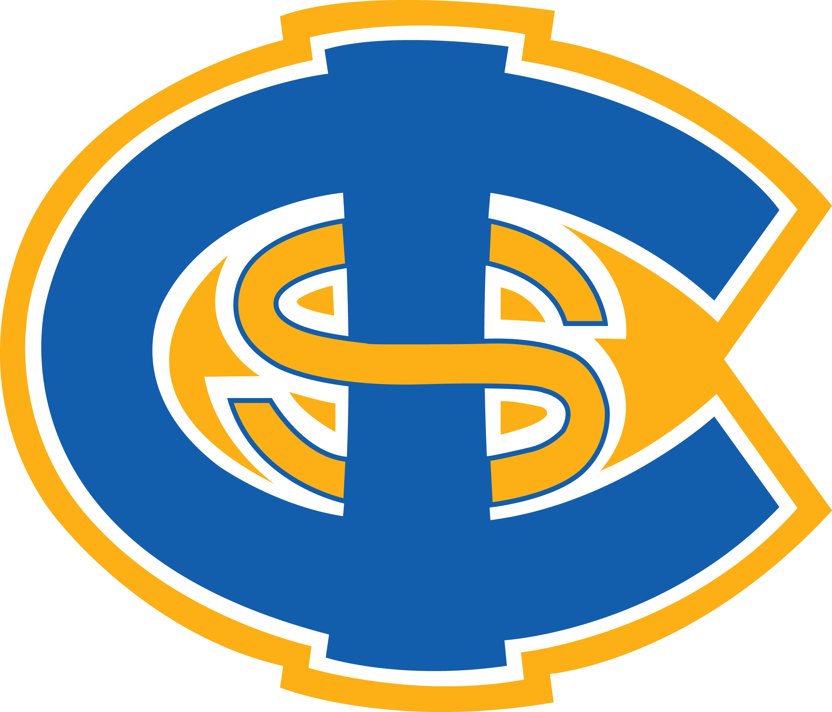 Carolina International School Comets (2808x2405), Png Download