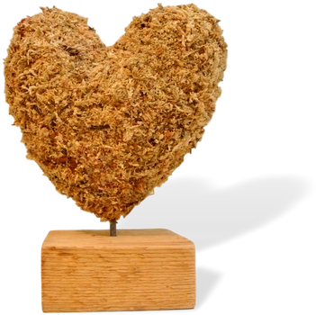 Small Heart Topiary Stuffed - Heart (498x398), Png Download