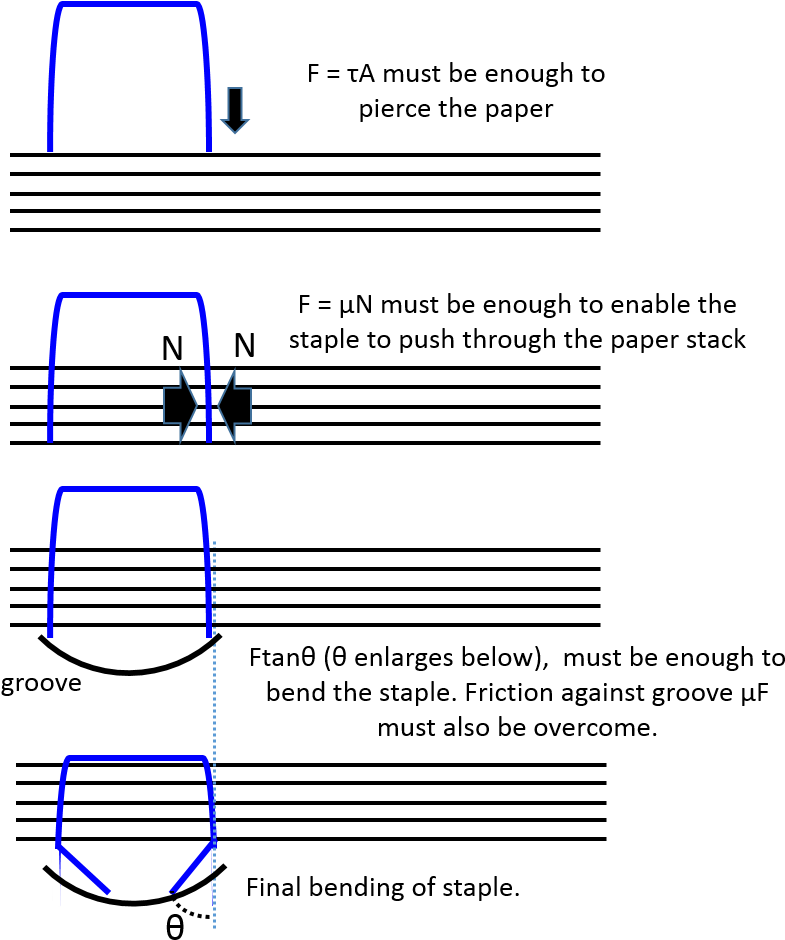 Seating Of Staple - Staple (834x972), Png Download