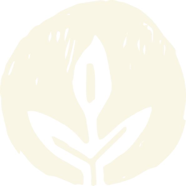 Icon Light - Light (596x596), Png Download