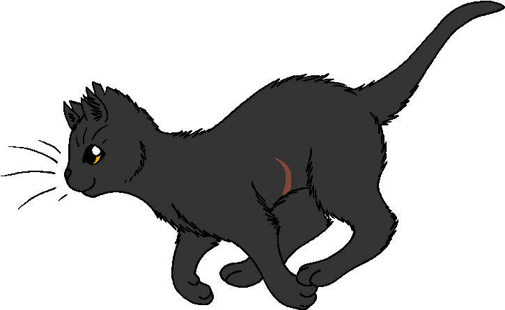 Slate - Warrior Cats Coloring Pages (831x510), Png Download