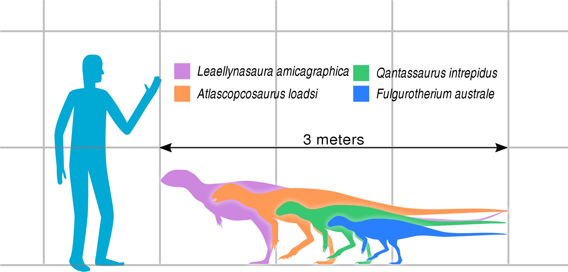 Australian Hypsilophodont Sizes Slate - Hypsilophodont (1884x1080), Png Download