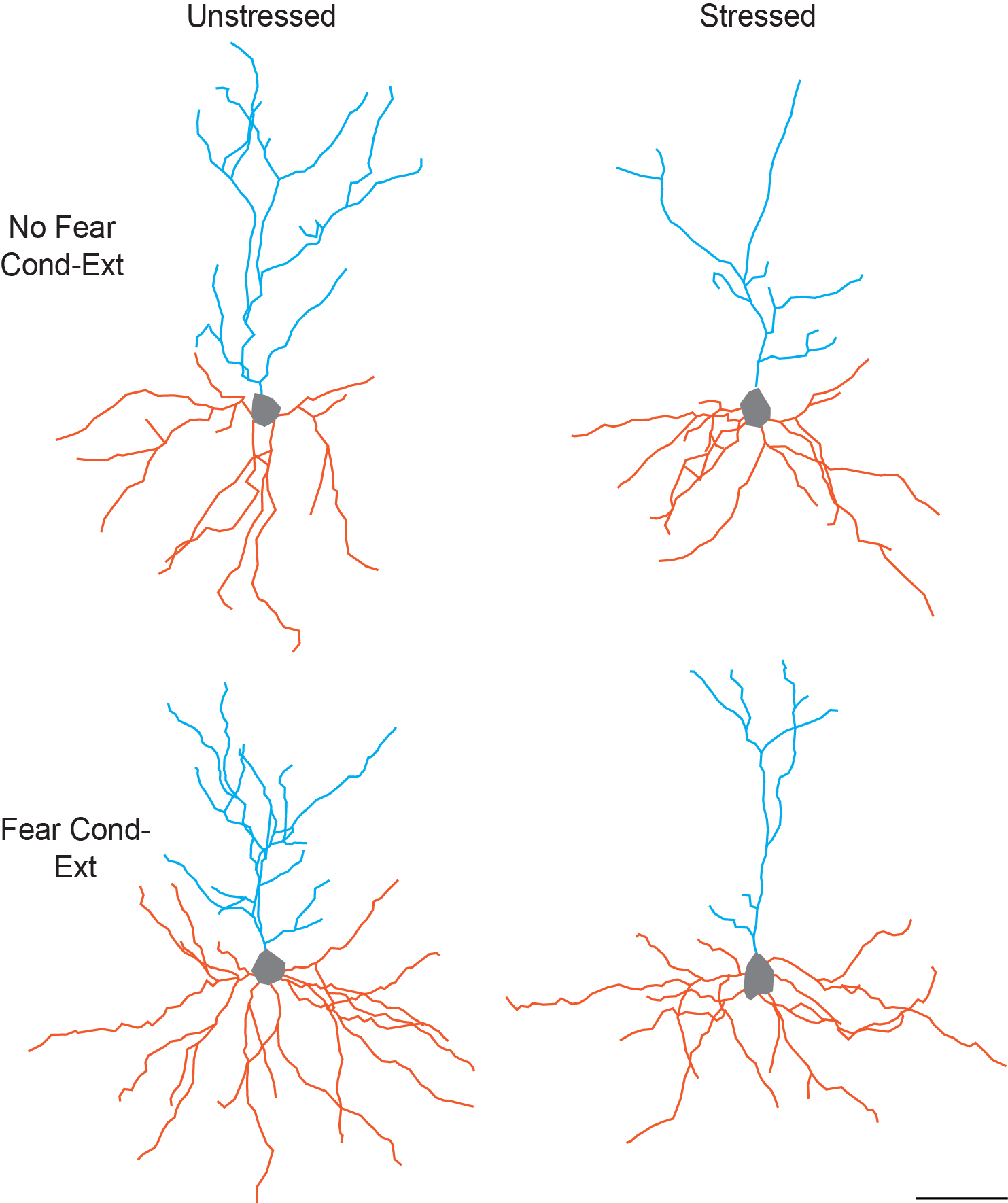 This Figure Illustrates The Separate And Combined Effects - Neurons Under Stress (1483x1770), Png Download
