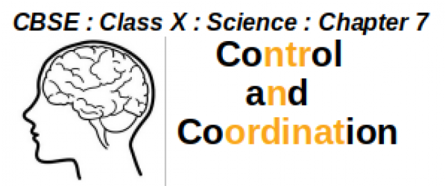 Class X - Your Brain And You: What Neuroscience Means (640x480), Png Download