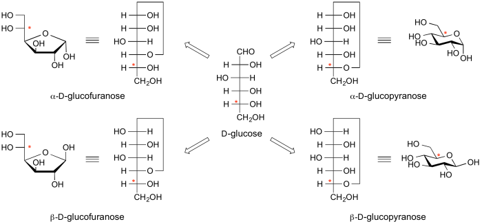Alpha&beta Glucose - Beta D Glucose Fischer (700x326), Png Download