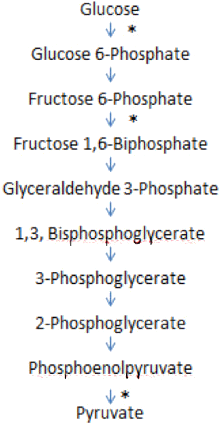 Diamante Poem (320x437), Png Download