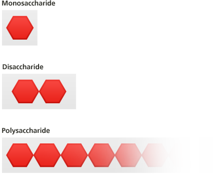 An Essential Carbohydrate - Glucose Maltose Starch (429x349), Png Download