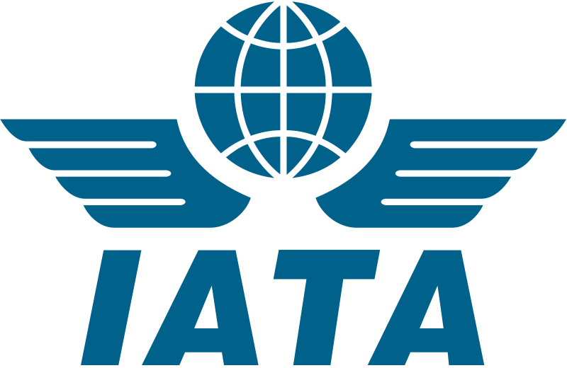 Disney Artwork, Logos, Attraction Descriptions And - International Air Transport Association (800x520), Png Download