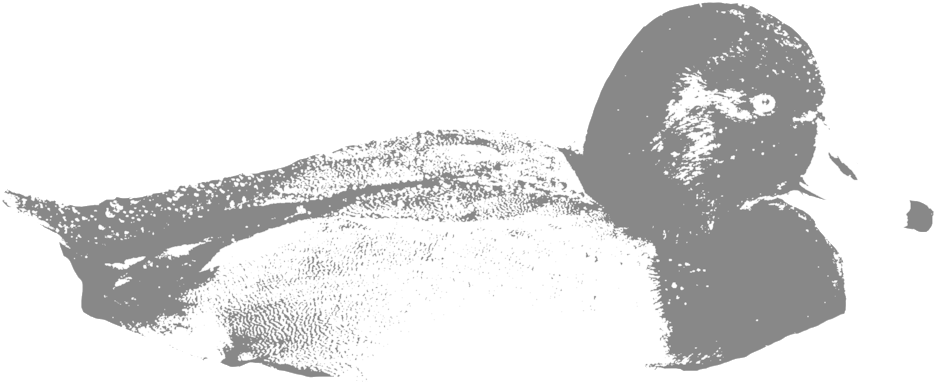 Red-head - Texas (1000x1000), Png Download