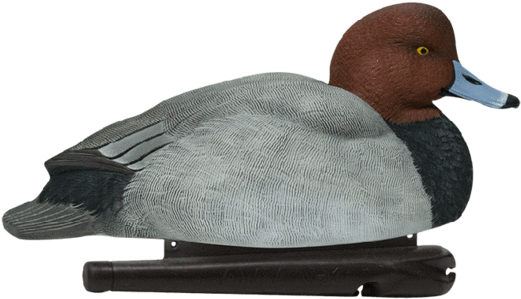 Avianx Foam Filled Redheads - Avian X Redhead Hen (580x363), Png Download