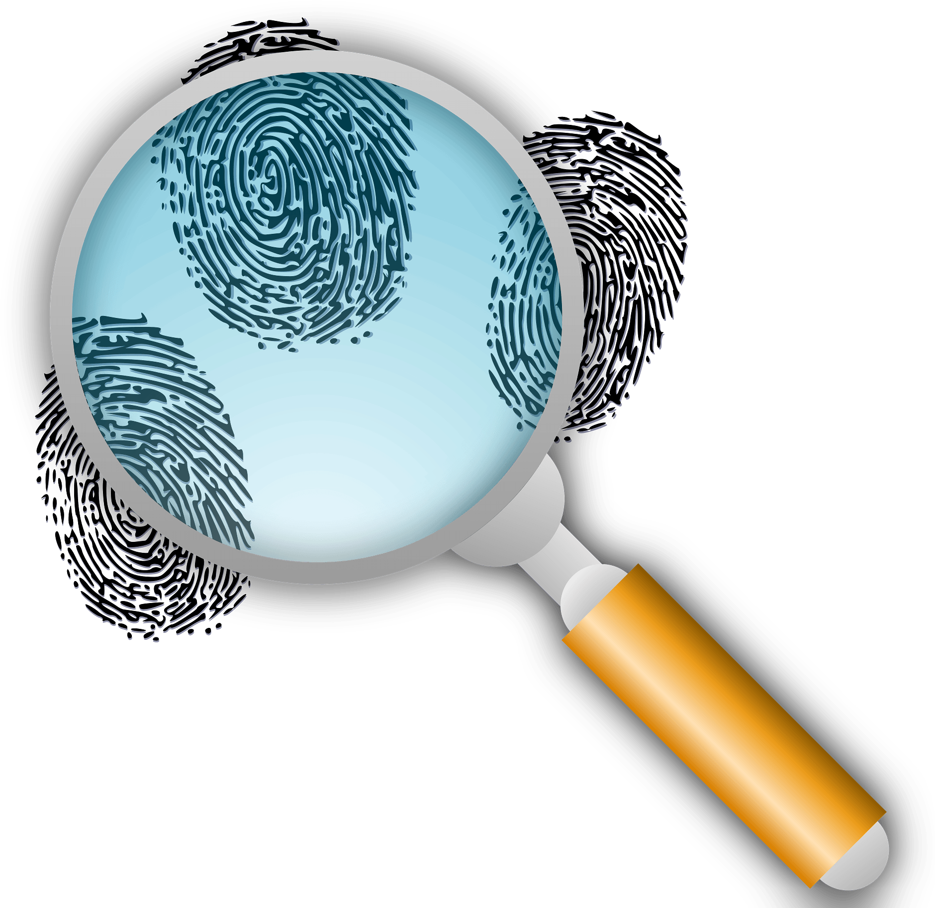 This Free Clipart Png Design Of Fingerprint Search - Magnifying Glass With Fingerprint (900x900), Png Download