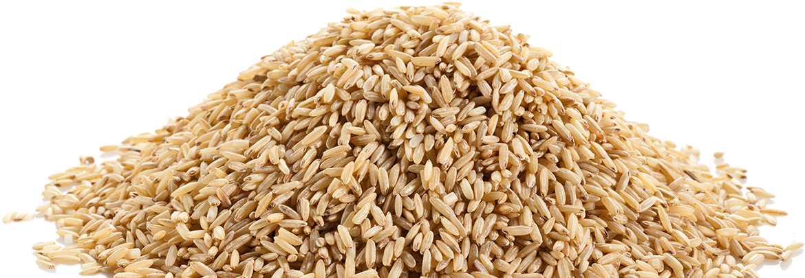 Photo Of A Pile Of Rice - Arroz En Granos Png (1600x548), Png Download