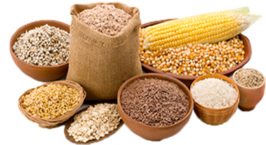 Grains - Grupo De Alimentos Cereales (423x371), Png Download