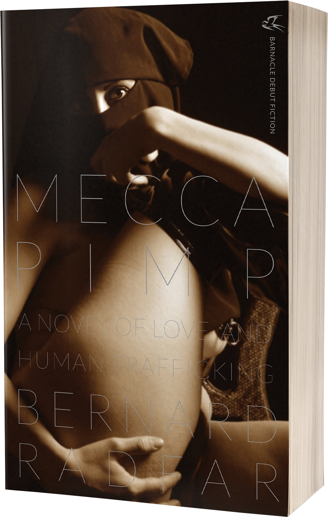 A Novel Of Love And Human Trafficking - Mecca Pimp: A Novel Of Love And Human Trafficking (1416x2000), Png Download