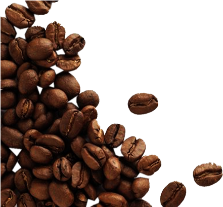 Cacaos Free Png Image - Coffee Beans Transparent Background (507x407), Png Download