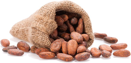 Granos De Cacao (545x262), Png Download