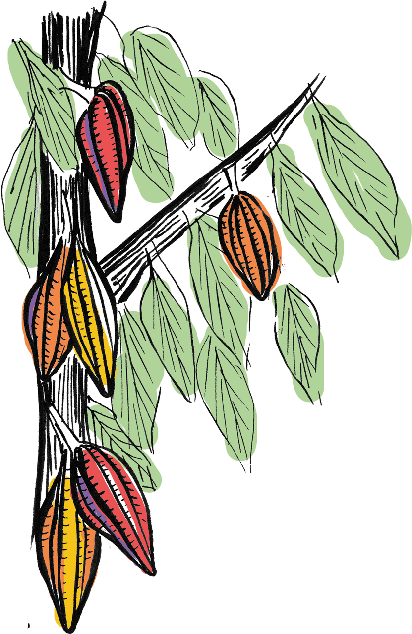 Illustration (1000x1387), Png Download