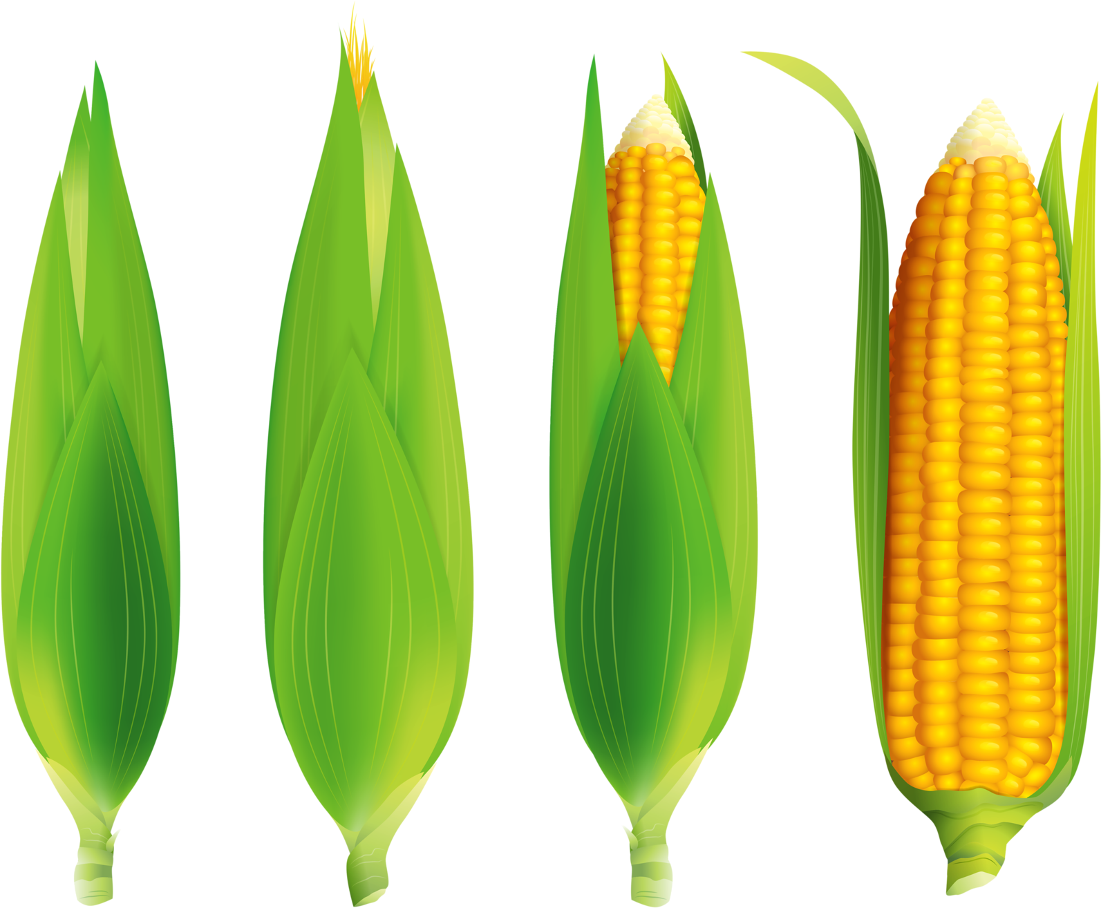 Play Foodvegetablesfree Vector - Maize (1600x1314), Png Download