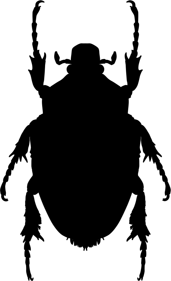 Insect Shape Of Stink Bug Comments - Stink Bug Svg (596x981), Png Download