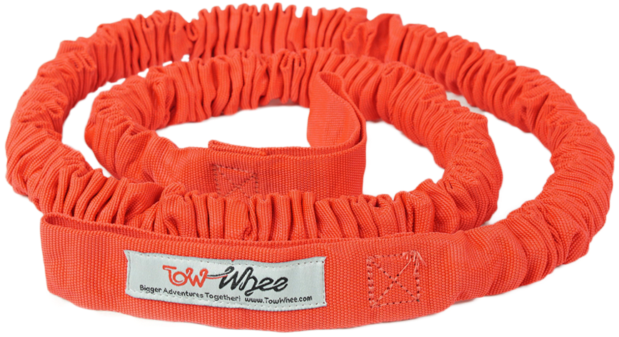 No Back (1000x750), Png Download