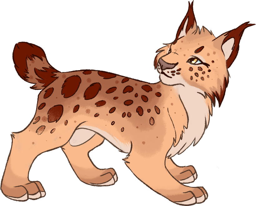 Lynx Animal Mammal Fursona Furry Feline Furry Artist - Kitten (820x658), Png Download