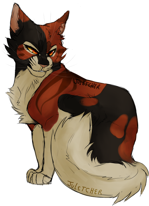 Warriors Cats Mapleshade - Warrior Cats Mapleshade (540x739), Png Download