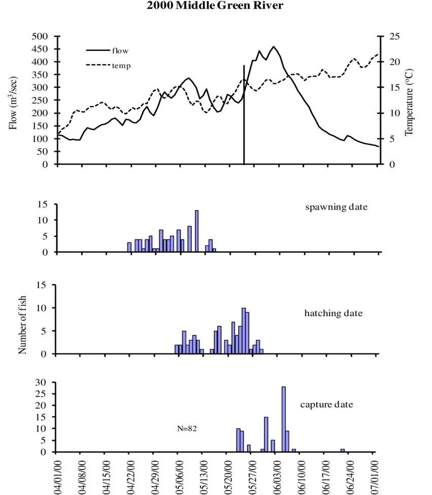 Capture And Otolith Age Estimated Hatching And Spawning - Diagram (850x1018), Png Download