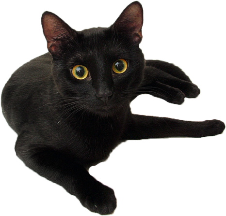 C - Hecate Spells (500x570), Png Download