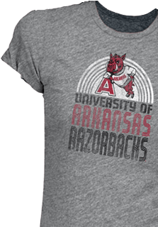 Razorback Baseball Product - Arkansas Razorbacks Baseball (355x478), Png Download