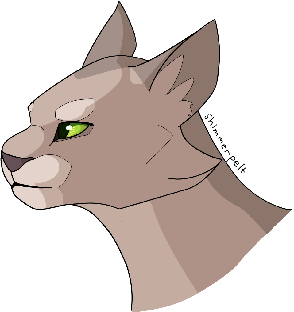 Daily Random Warrior Cats Png Tumblr Gore Cat - Shimmerpelt (1253x1080), Png Download