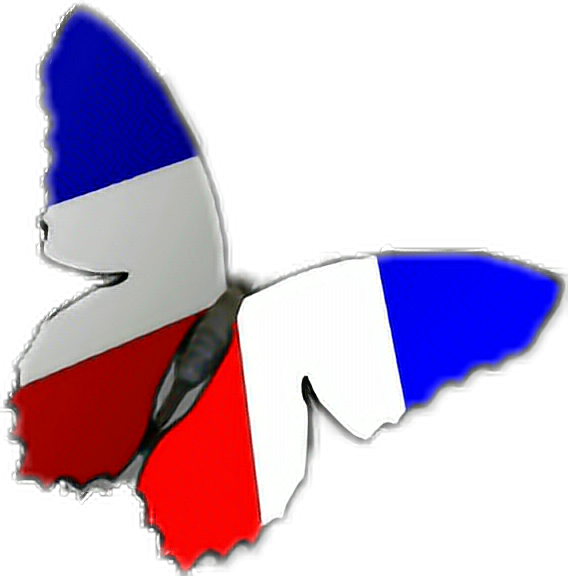 Clip Art (568x576), Png Download