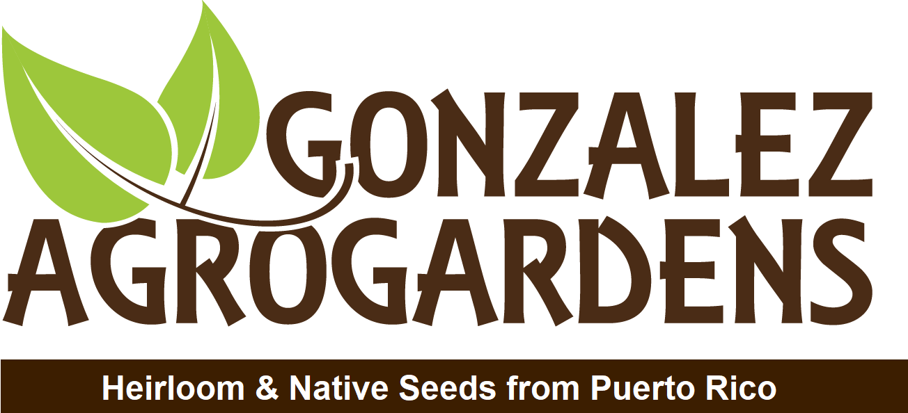 Gonzalezagrogardens - Puerto Jimenez (1304x594), Png Download