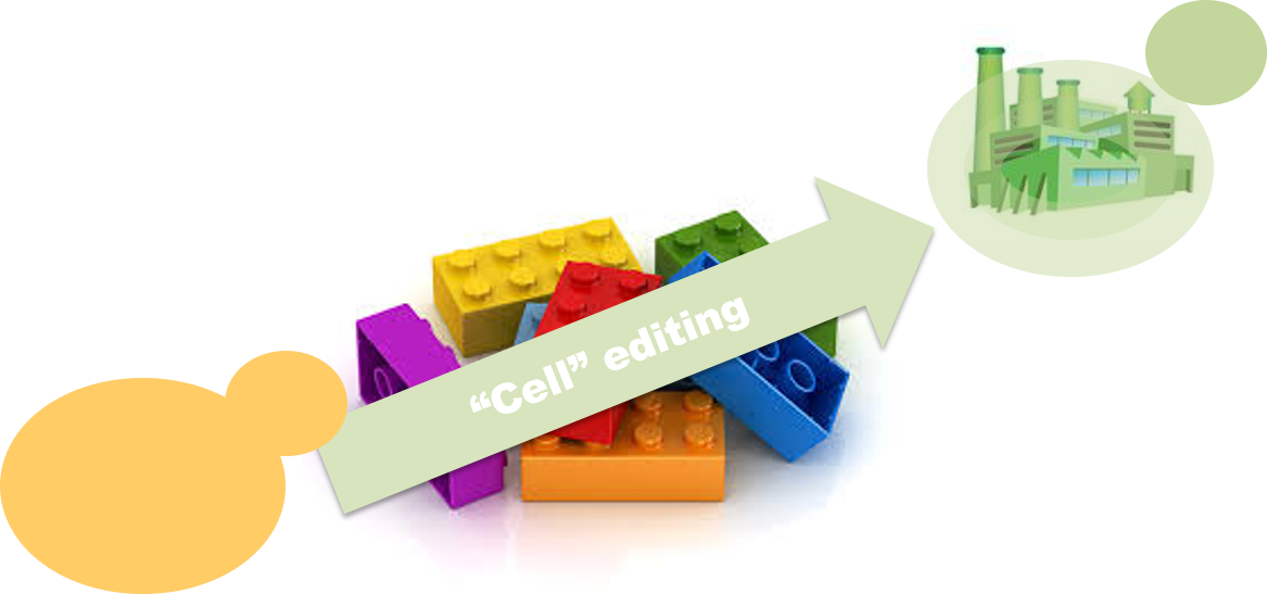 Img Tema Nuno Mira - Graphic Design (1167x547), Png Download