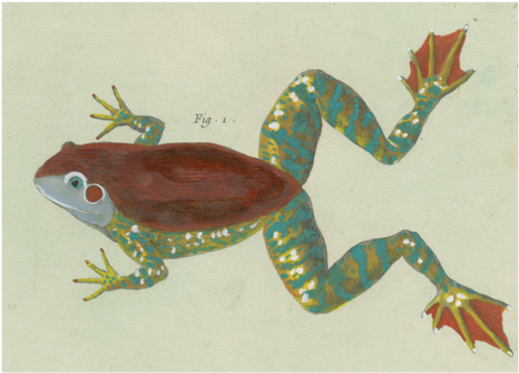 Figure 1 (500x500), Png Download