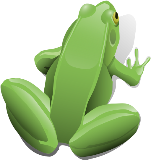 Molumen Green Sitting Frog 555px - Green Frog Shower Curtain (555x582), Png Download