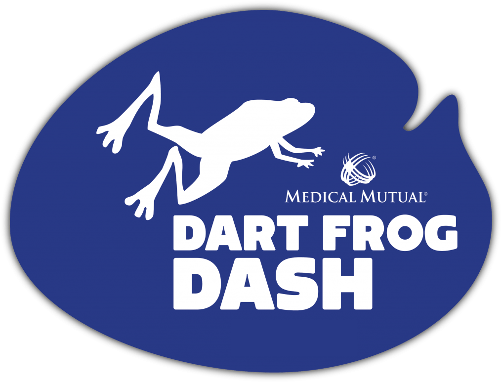 Dart Frog Dash - Data Flow Diagram (1024x782), Png Download