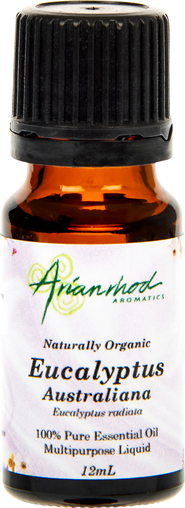 Eucalyptus - Fruit (1800x1800), Png Download